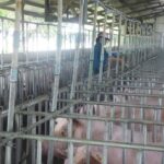 b47c3154851d6c43350c