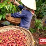 b696deb2d8fb31a568ea