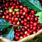 b7b8db71cb3822667b29