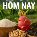 b7bc00f50dbce4e2bdad