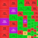 b90f73807fc99697cfd8