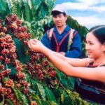 bc2a33f747beaee0f7af