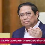 bcd03bca2383cadd9392