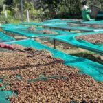 bd684cd83e91d7cf8e80