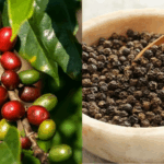 bfaf2e422b0bc2559b1a