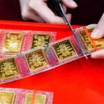 c306956dd5243c7a6535