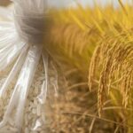 c43f741a6153880dd142