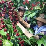 c576a207d24e3b10625f