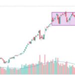 c6f9a4c4a58d4cd3159c