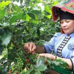 c9fe998c92c57b9b22d4