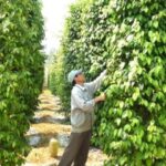 cad3255b4512ac4cf503