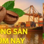 ce7cb3d5b29c5bc2028d