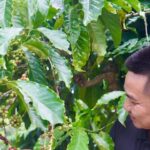 cfdb4c9c52d5bb8be2c4