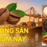 d3c1c39cccd5258b7cc4