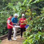 d3d91e56111ff841a10e