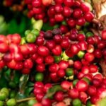 d45a02ad12e4fbbaa2f5