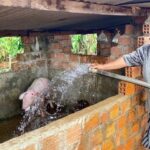 d504e10aee43071d5e52