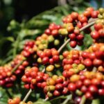 d74031f721bec8e091af