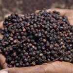 d74954e653afbaf1e3be