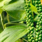 d795de51df1836466f09