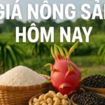 d902d377d33e3a60632f