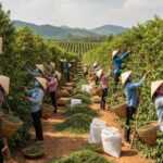 da1e1265022ceb72b23d