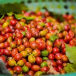 dab9e4fff0b619e840a7