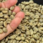 dd8e9873ea3a03645a2b