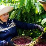 ddd54cf02cb9c5e79ca8