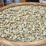 ddef0c020b4be215bb5a