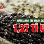 dfcce19a9cd3758d2cc2