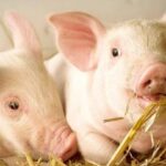 e84fcc06ce4f27117e5e