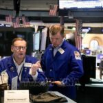 e981a8bca1f548ab11e4