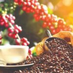 e9adbb3cd7753e2b6764