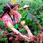 ea86a618ac51450f1c40