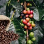 ecf95eb82ef1c7af9ee0