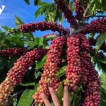 ed78455a5d13b44ded02