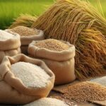 ed9ec60dc044291a7055