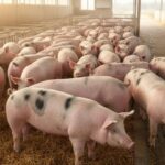 ef11368130c8d99680d9