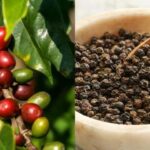 f2d0f11ee95700095946