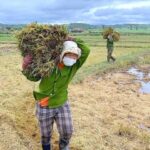 f90f235b2b12c24c9b03