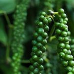 f9aff993fcda15844ccb