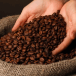 f9bd09dc0895e1cbb884