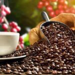 fbc73c1d3754de0a8745