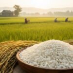 fcd00bc7188ef1d0a89f