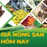 fcec6fe60fafe6f1bfbe