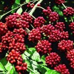 17a8e2201169f837a178