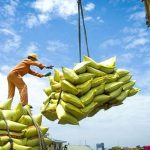 1f94dd482901c05f9910