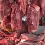 2bd9922e7c679539cc76