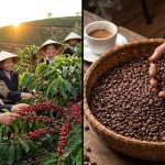 313fe532117bf825a16a